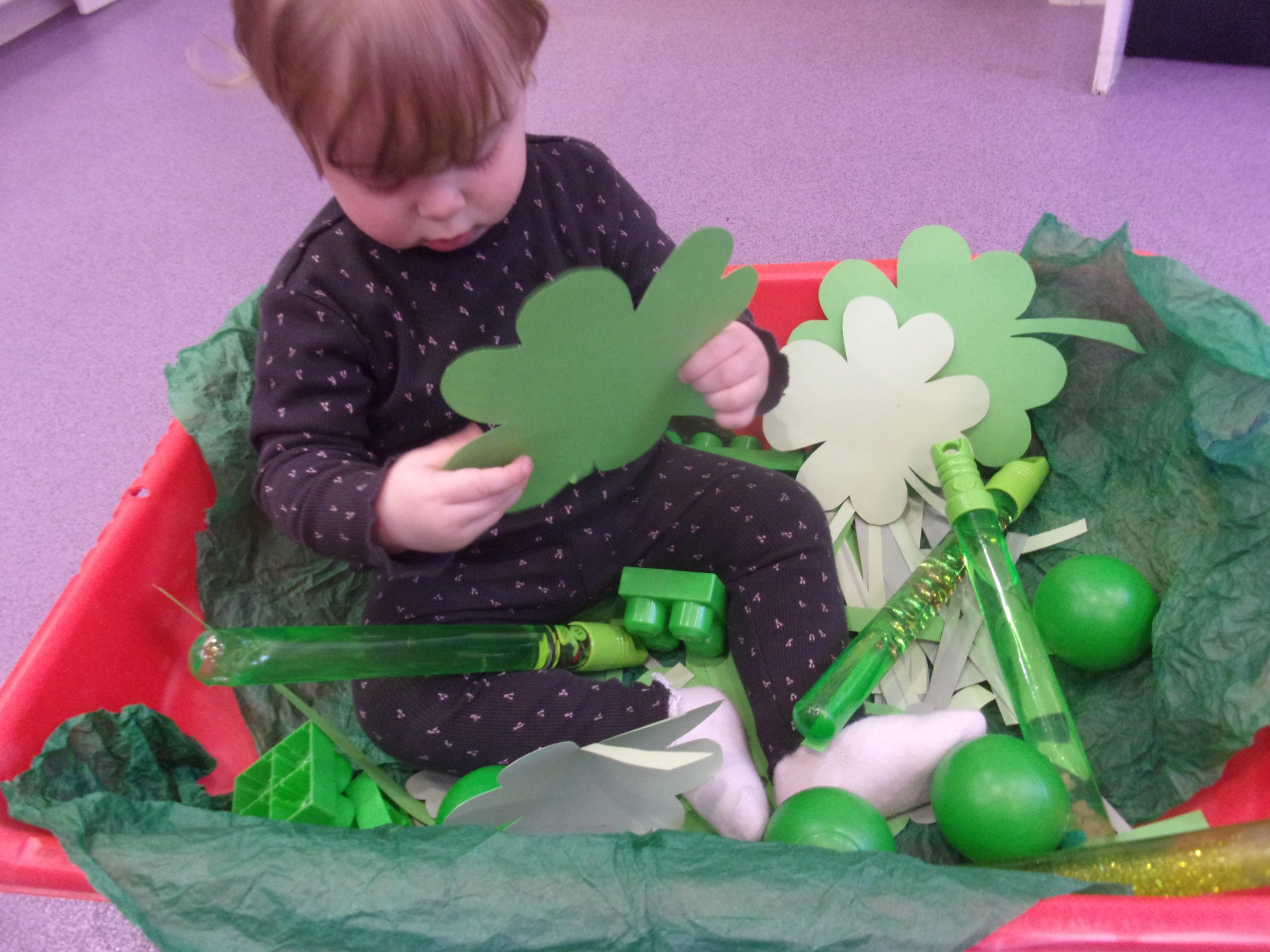 A Green Day at Children 1st at Chesterfield Royal Hospital Children